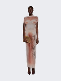 Le Classique Printed Mesh Long Dress Pale Pink  | The Webster | The Webster