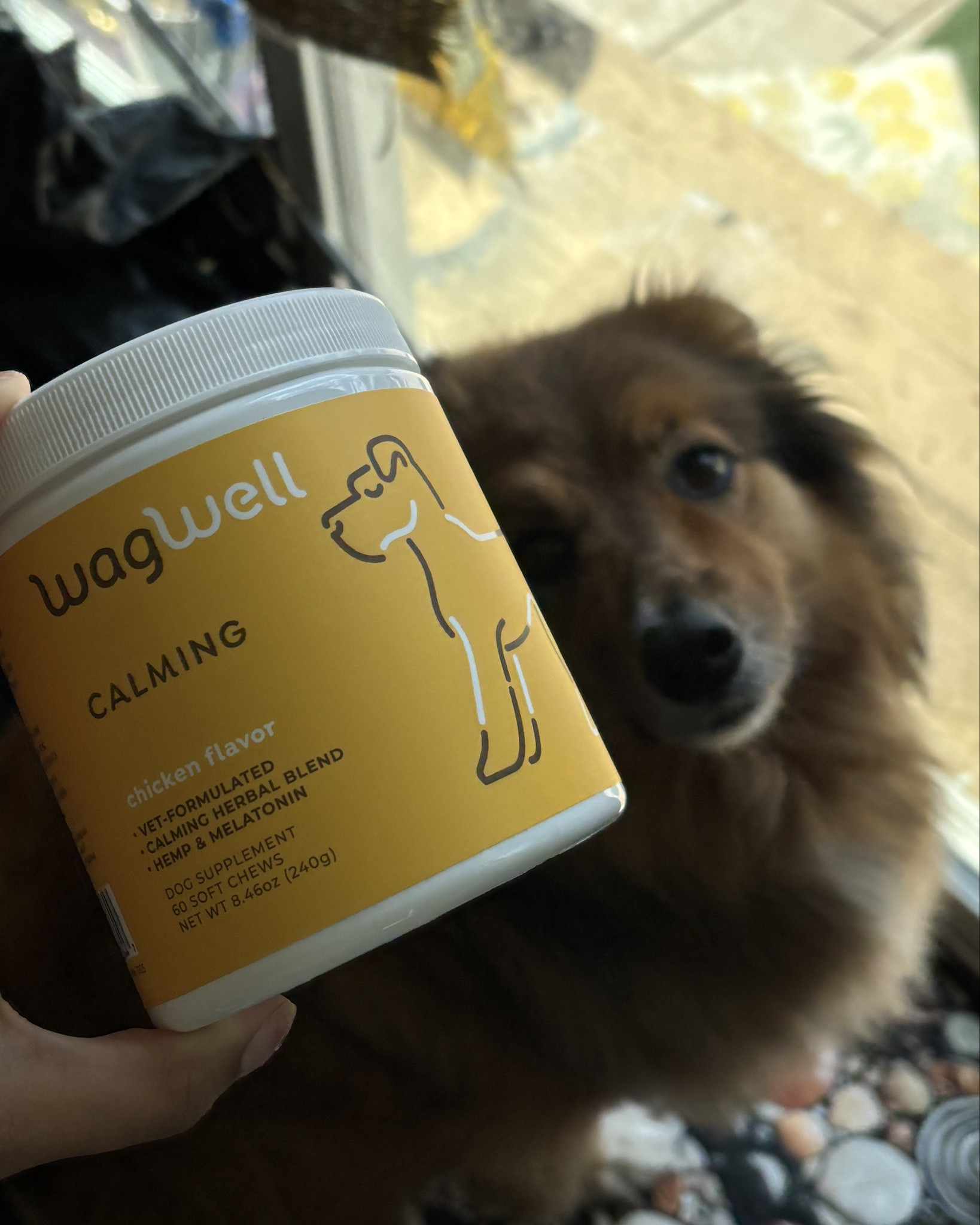 best treats if you have a hyper god like mine! Also, archie loves them! #calmingdogtreats #dogtreats 

#LTKPets #LTKHome