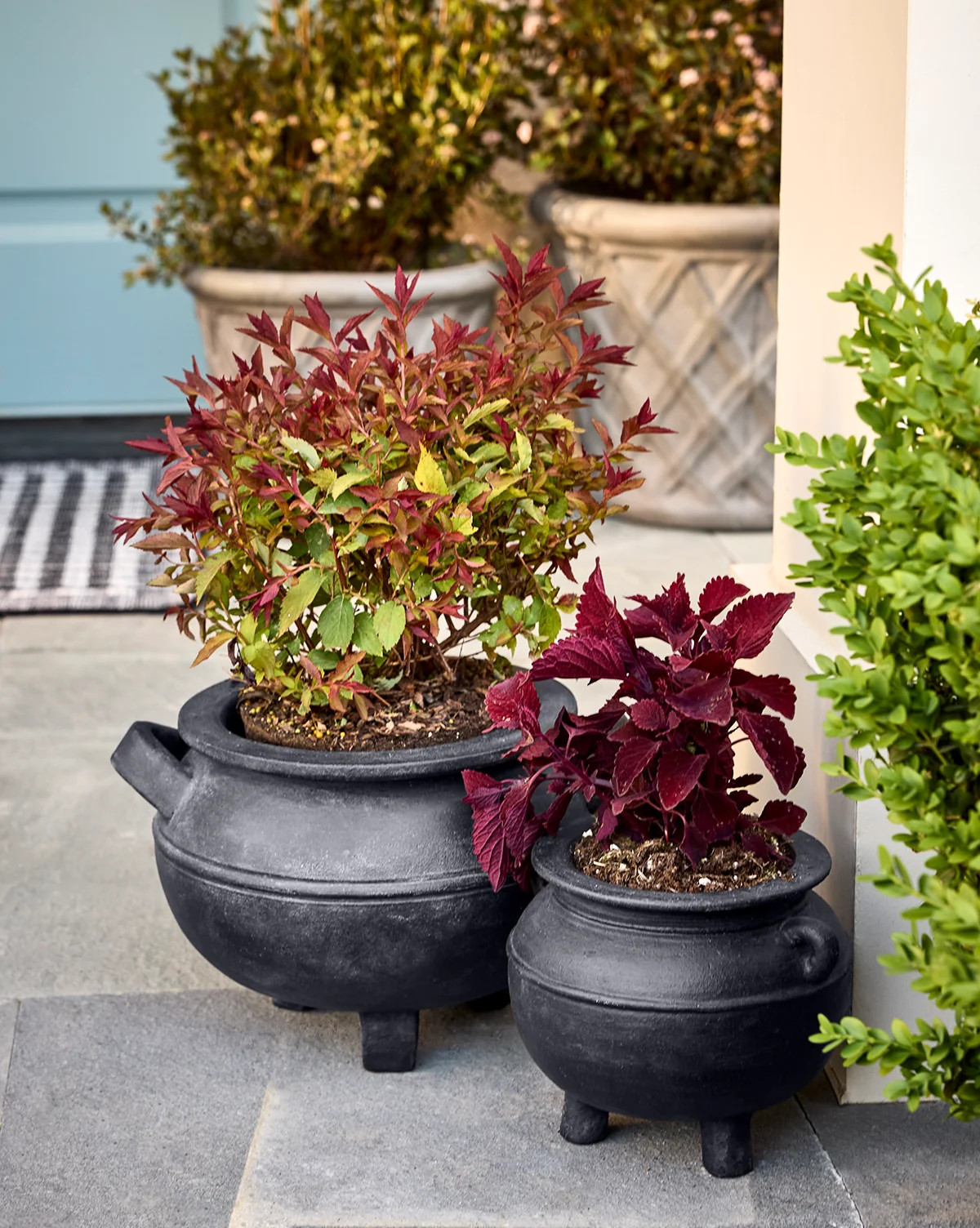 Midnight Cauldron Planter | McGee & Co. (US)