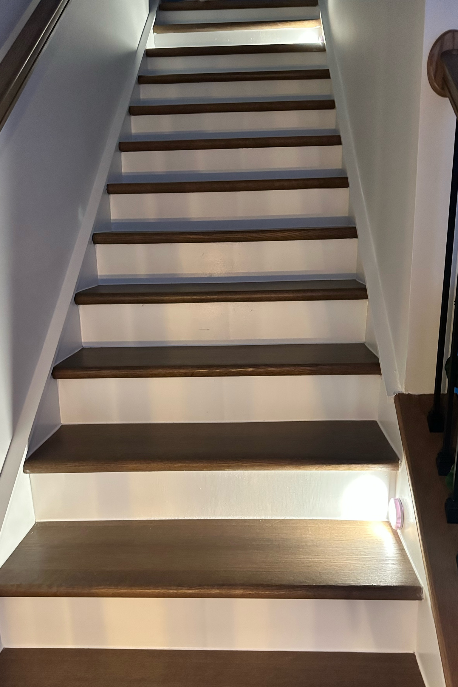 Recent Amazon find! At night I don’t always want to turn all the lights on but I have a fear of falling down the stairs 😂 these lights are motion activated and only come on at night. For battery operated lights, they work so well! #amazonfinds #amazonhome

#LTKhome