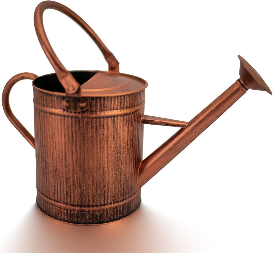 1 Gallon Watering Can, Copper Watering Can, Metal Water Can with Removable Spout, Perfect Plant W... | Amazon (US)