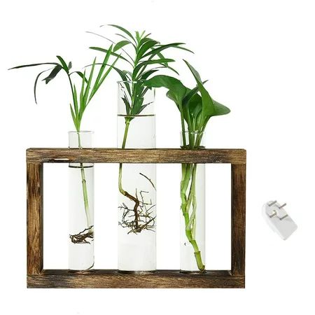 Plant Propagation Stations Wall Hanging Plant Terrariums Tabletop Glass Wooden Stand with 3 Propagat | Walmart (US)