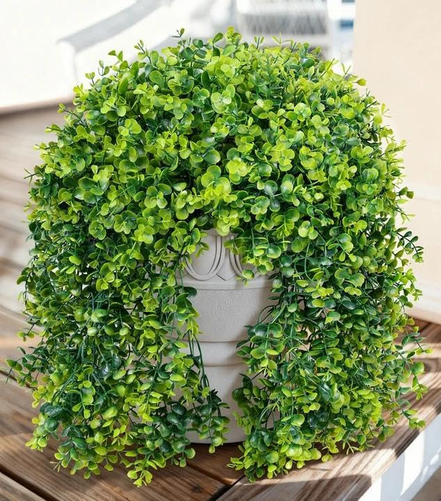 Faux Outdoor Plants Fake Hanging Plants for Outdoors Outside Decorations, 2 Pcs Green Faux Eucaly... | Amazon (US)