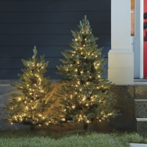 Staked Twinkling Fraser Fir Tree | Ballard Designs, Inc.