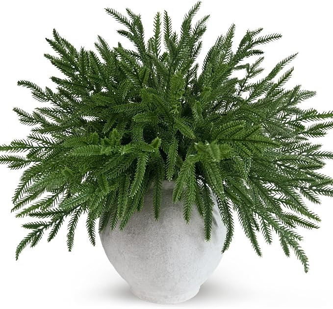 12 Pcs Real Touch Norfolk Pine Branches Christmas Decorations, 18 Inch Greenery Xmas Picks Artifi... | Amazon (US)