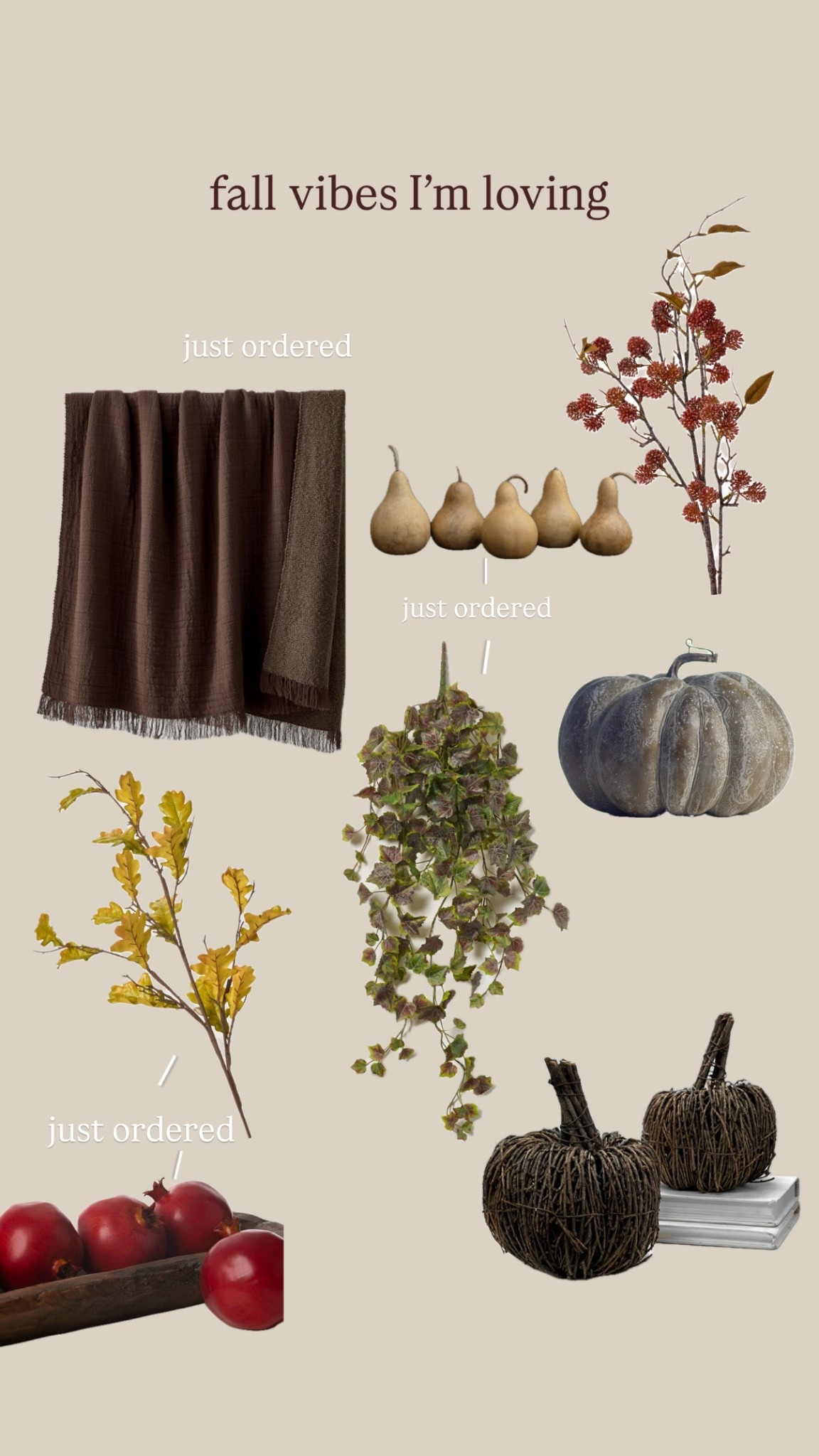 Fall decor I’m loving.


#LTKFindsUnder50 #LTKHome #LTKSeasonal