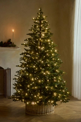 Faux Pre-Lit Crystal Berry Spruce Tree, 7’ | Anthropologie (US)