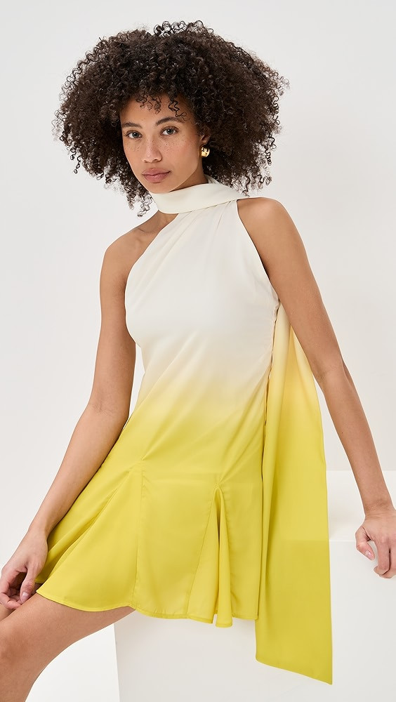 BAOBAB Ari Mini Dress | Shopbop | Shopbop