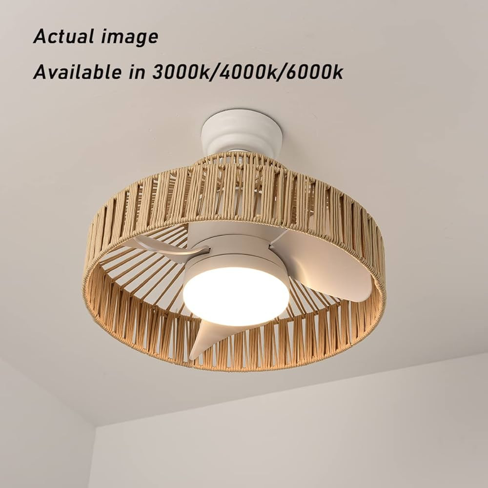 Eamonex 18W LED 20” Smart Boho Nylon Caged Dimmable Ceiling Fan with Light,White Brown Circle C... | Amazon (US)