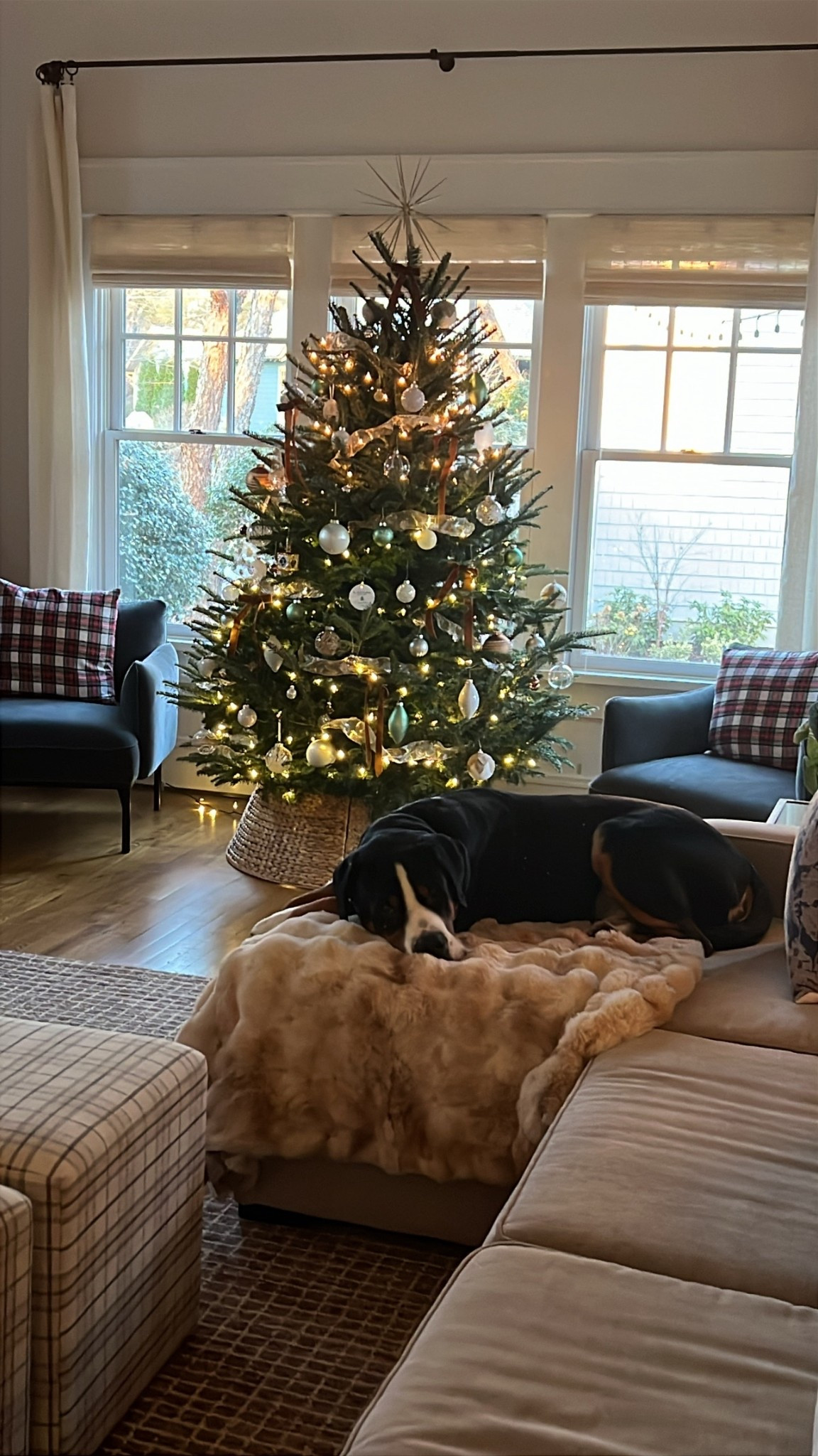 Best Lola blanket dupe! 

#LTKFindsUnder50 #LTKHoliday #LTKGiftGuide