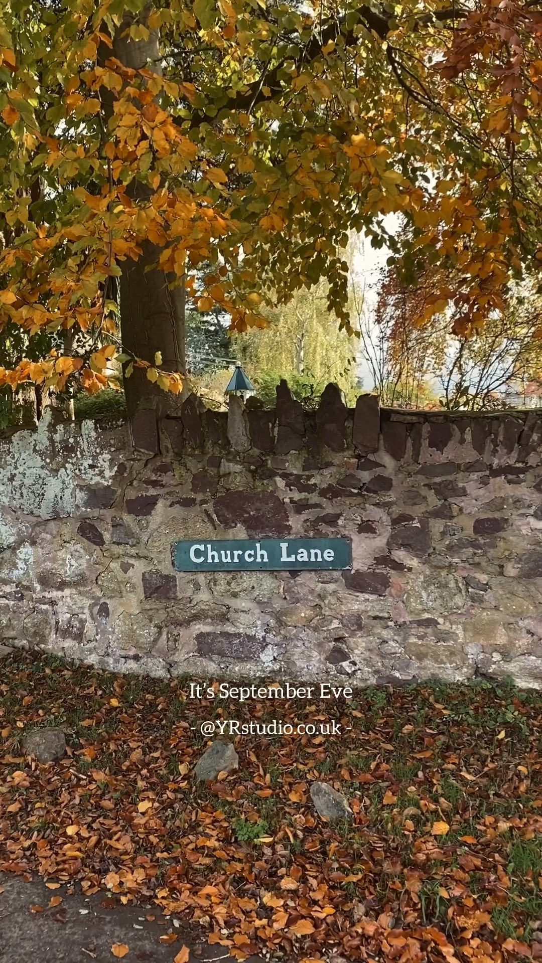 It’s September Eve! 🍂 I’ve linked some Halloween & Autumn home decor and my lightweight sweater featured in the video. My Jack-o’-lantern pumpkin kitchen towels are out of stock, but I’ve tagged some that I like even more! ~ Adriana

#LTKautumn #LTKhome