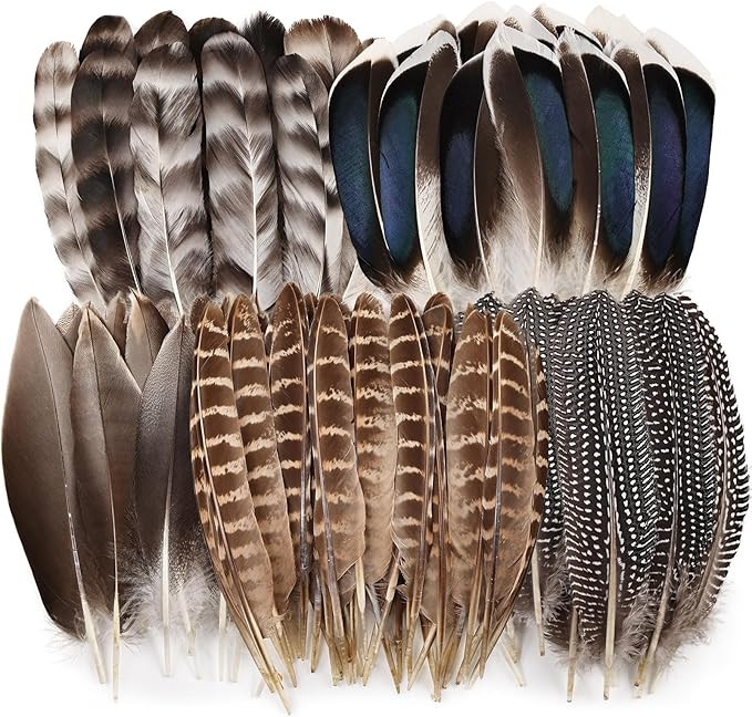 iHUFeather 40pcs Natural Pheasant Feathers Bulk Spotted Feathers 5 Styles Mixed Feathers for Craf... | Amazon (US)