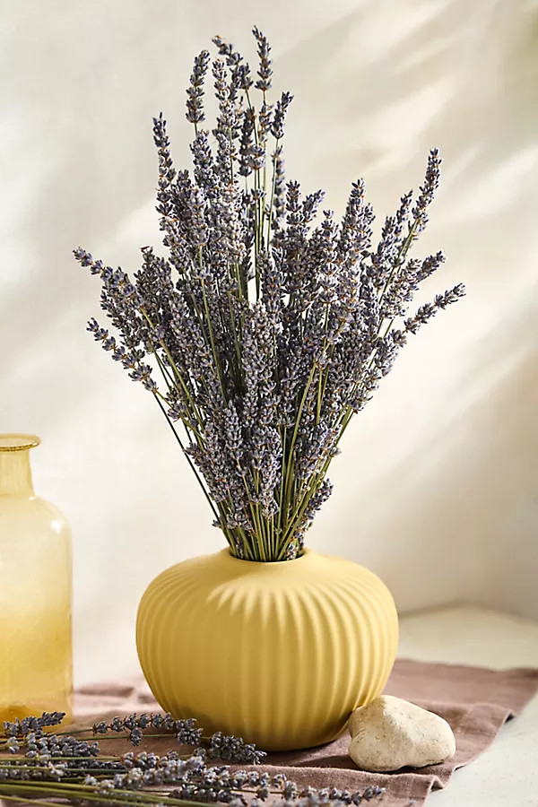 Dried French Lavender Bunch | Anthropologie (US)