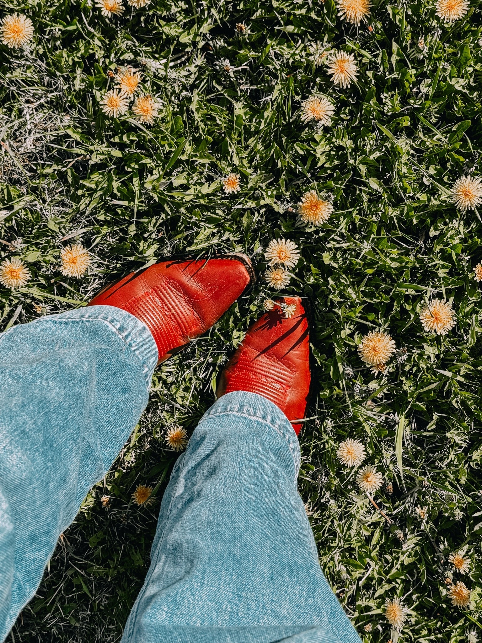 Red cowboy boots in a field of dandelions — if this isn’t a Montana spring, I don’t know what is 🌼🤠 These boots are everything and they just get better with every wear. Linked on LTK — tap to shop!

#LTKootd #LTKdayinmylife #LTKSeasonal