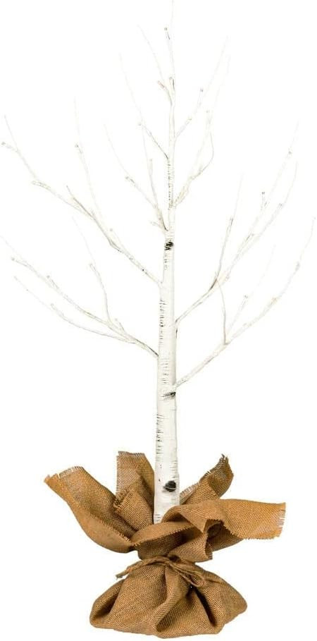 Vickerman 3' White Birch Twig Tree, Warm White 3mm Wide Angle LED Lights. | Amazon (US)