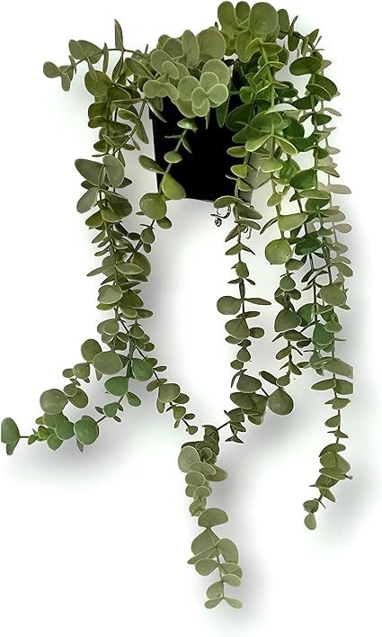 FEJKA Artificial Potted Plant, in/Outdoor Decoration Hanging | Amazon (US)