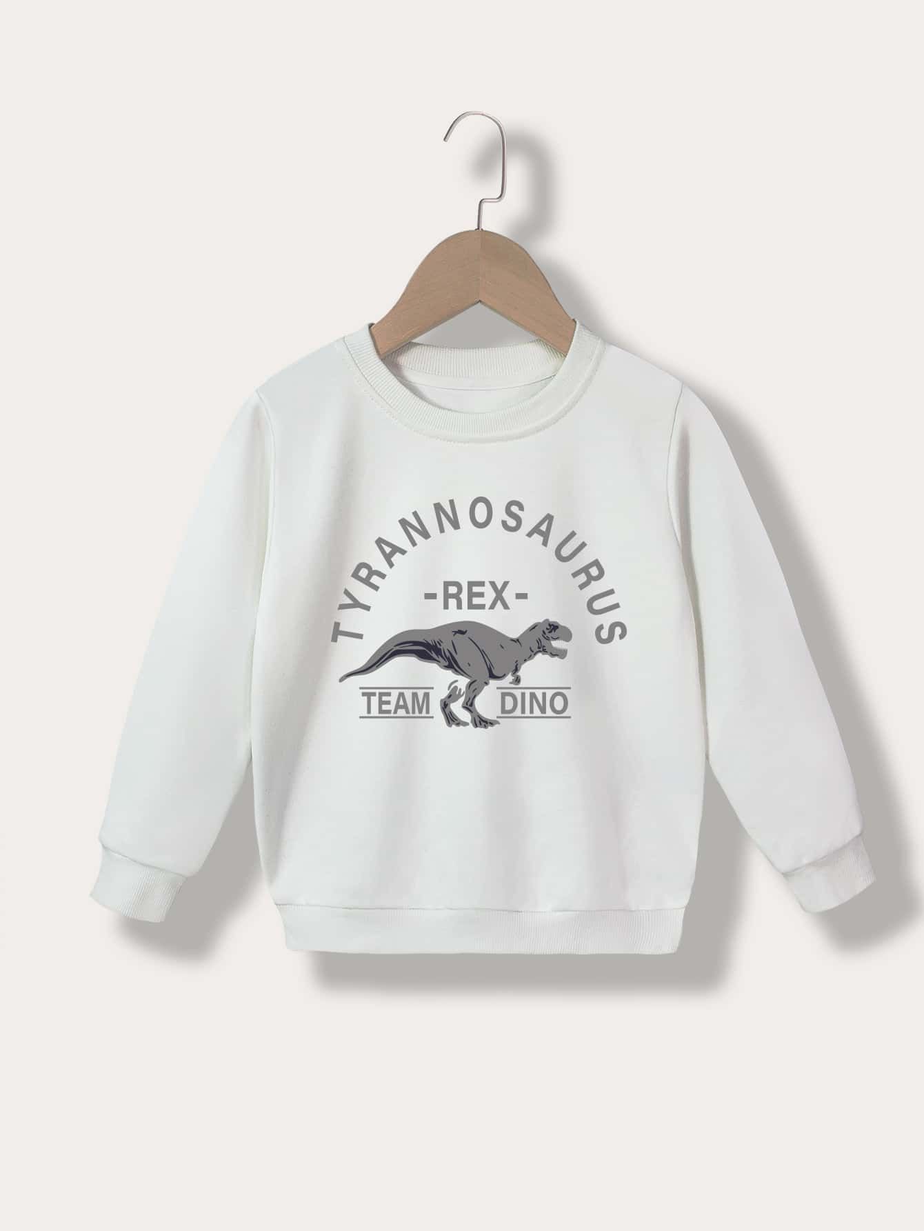 Toddler Boys Letter & Dinosaur Print Sweatshirt | SHEIN