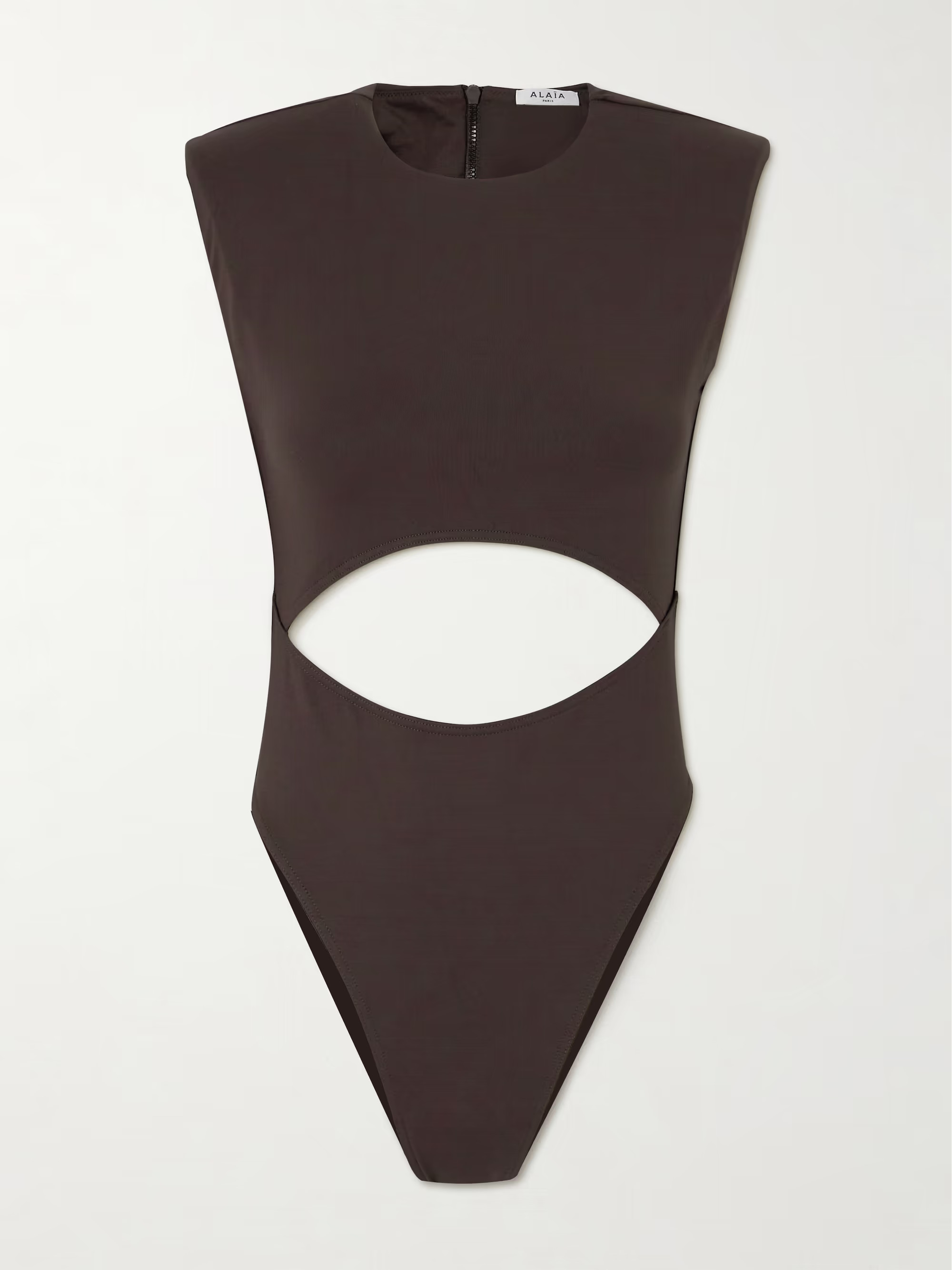 Cutout swimsuit | NET-A-PORTER (US)