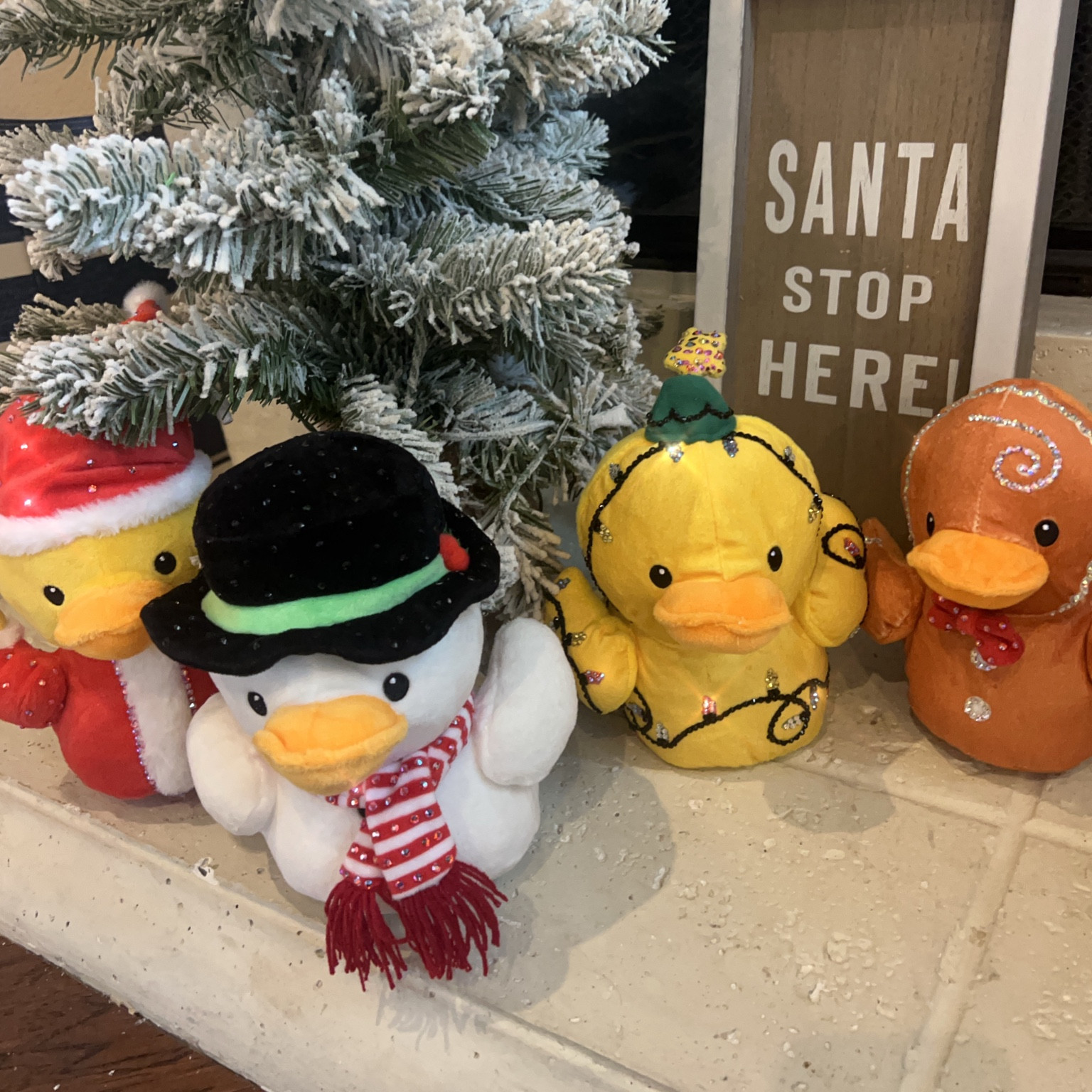 Plush cheer ducks but make them sparkle!  Good Luck!  #cheercoach #cheermom #cheerleading 

#LTKFitness #LTKHoliday