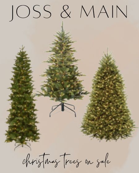 Christmas Trees on sale from Jose & Main’s 48-hour sale! 

#LTKHoliday #LTKhome #LTKsalealert