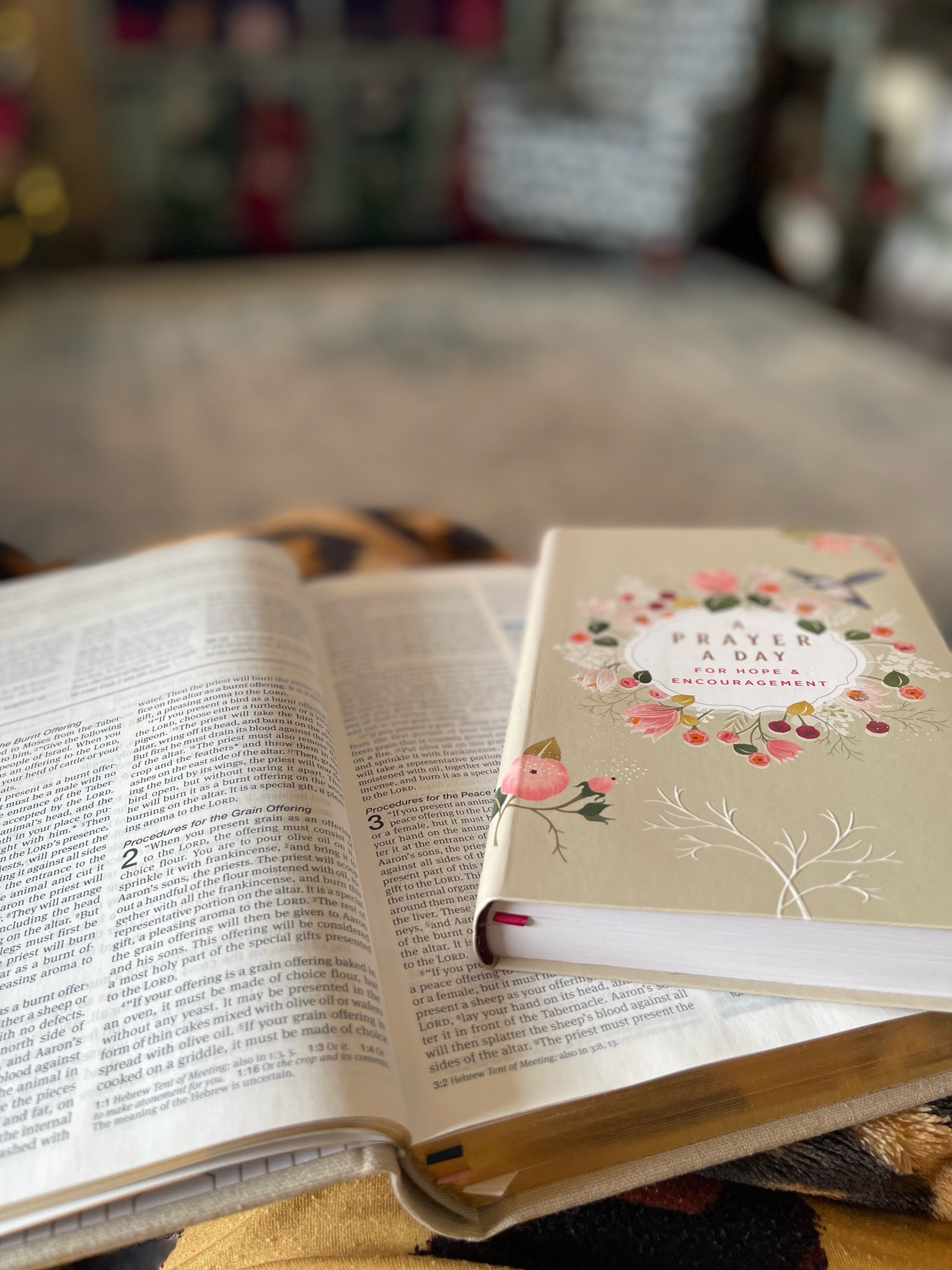 #bible #prayer #dailydevotions #dayspring 