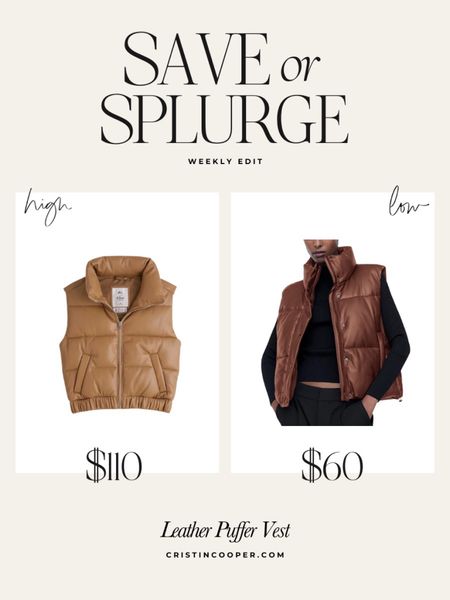 Save or Splurge

Leather puffer vest - comes in several
Colors

For more finds check out cristincooper.com 

#LTKSeasonal #LTKunder100 #LTKstyletip
