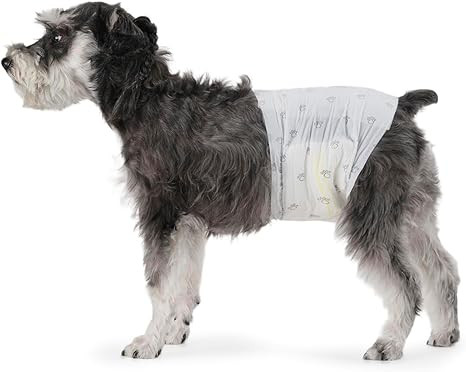 Amazon Basics Male Dog Diapers, Super Absorbent Disposable Wrap with Leak-Proof Protection, Wetne... | Amazon (US)