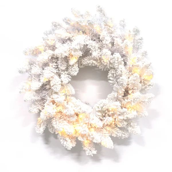 24" Lighted Polyvinyl Chloride (PVC) Wreath | Wayfair North America