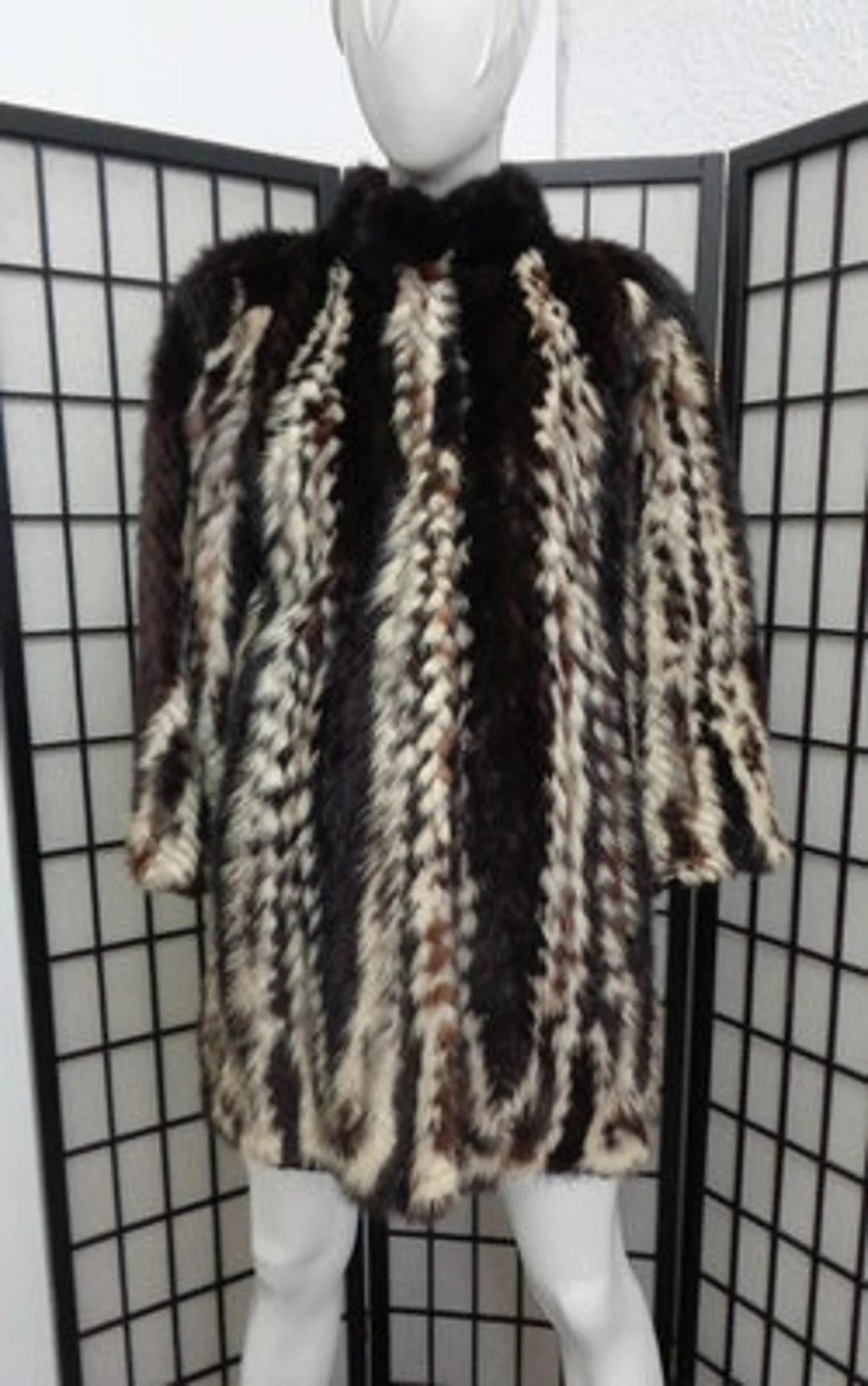 Mint Canadian Multi Color Mink Fur Coat Jacket Women Woman Size 2-4 Petite | Etsy (US)