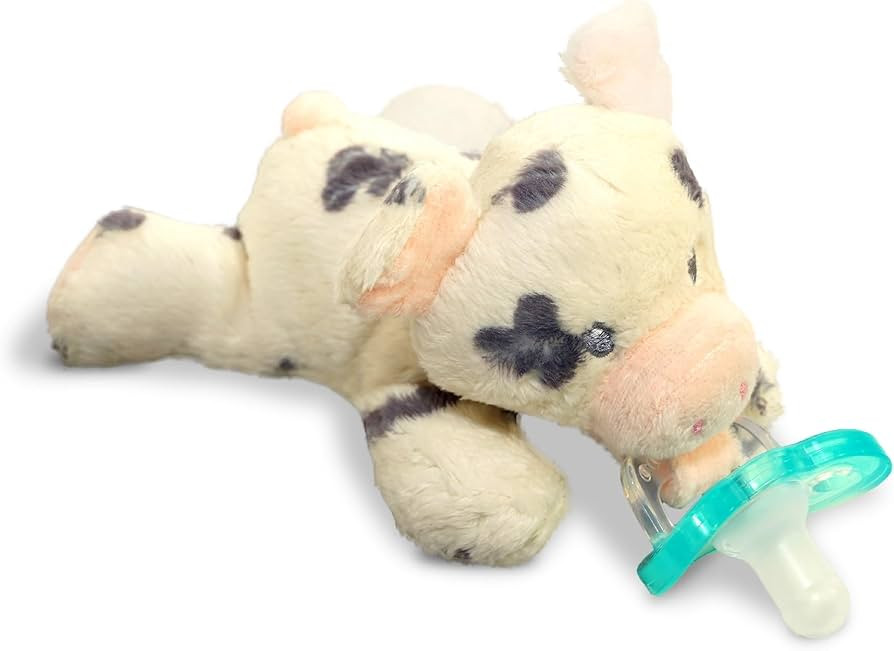 RaZbaby JollyPop Pacifier, Holder w/Detachable Baby Pacifier, Stuffed Animal RaZbuddy, All Ages 0... | Amazon (US)