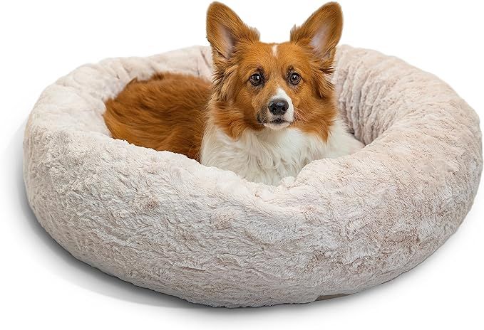 Best Friends by Sheri The Original Calming Donut Cat and Dog Bed in Lux Fur Oyster, Medium 30" | Amazon (US)