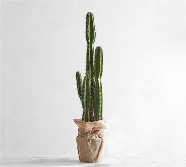 Faux Potted Saguaro Cactus | Pottery Barn (US)