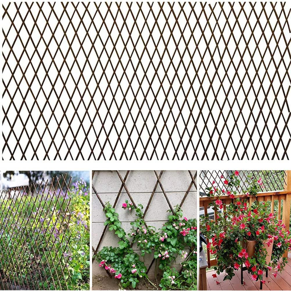 Amazon.com : xumy 2 Pack Willow Expandable Lattices Fence\uff0cGarden Fence Trellis for Climbing Plants Support 36x92 Inch (2) : Patio, Lawn & Garden | Amazon (US)