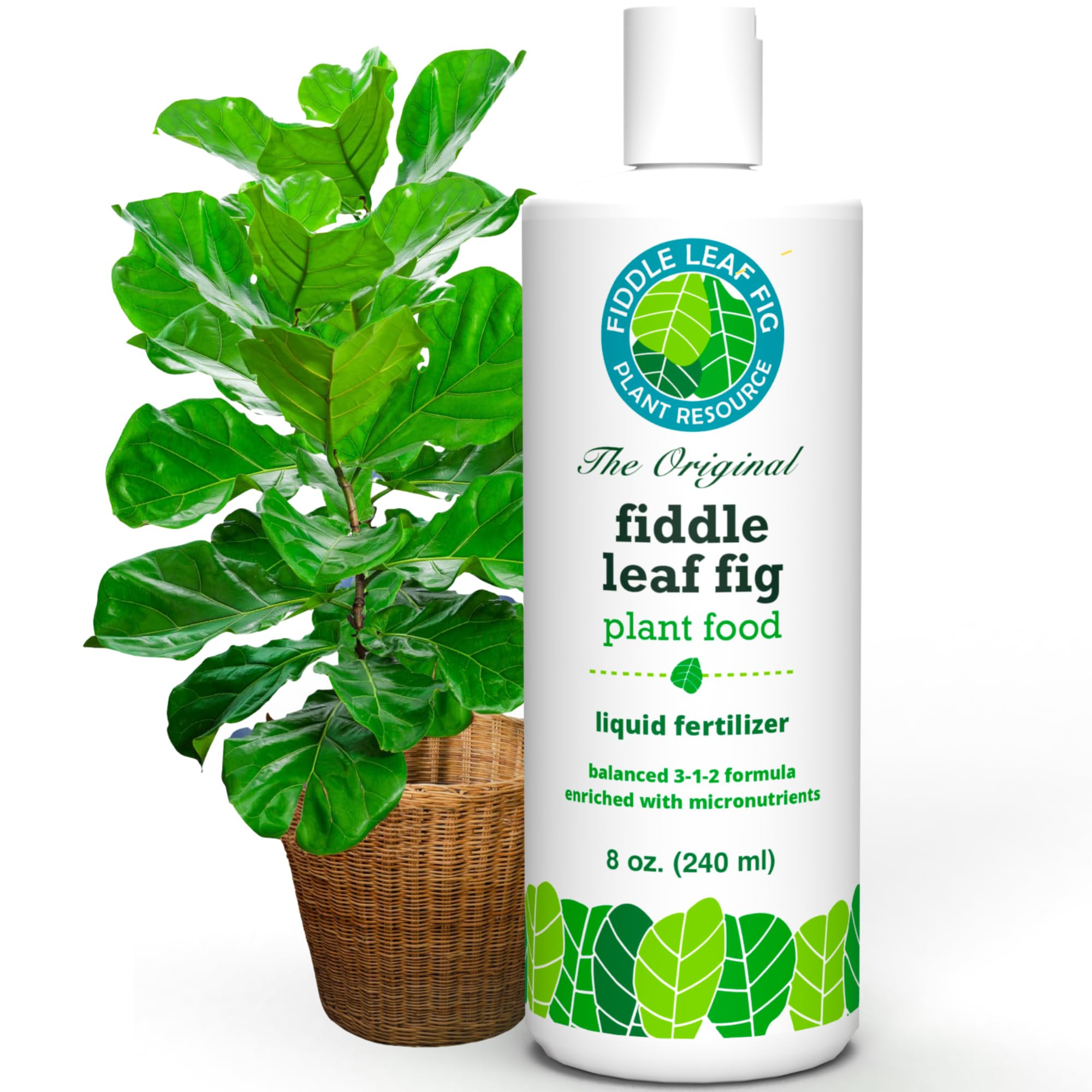 Fiddle Leaf Fig Plant Food – 3‑1‑2 Balanced NPK Liquid Fertilizer for Larger Leaves, Strong... | Amazon (US)