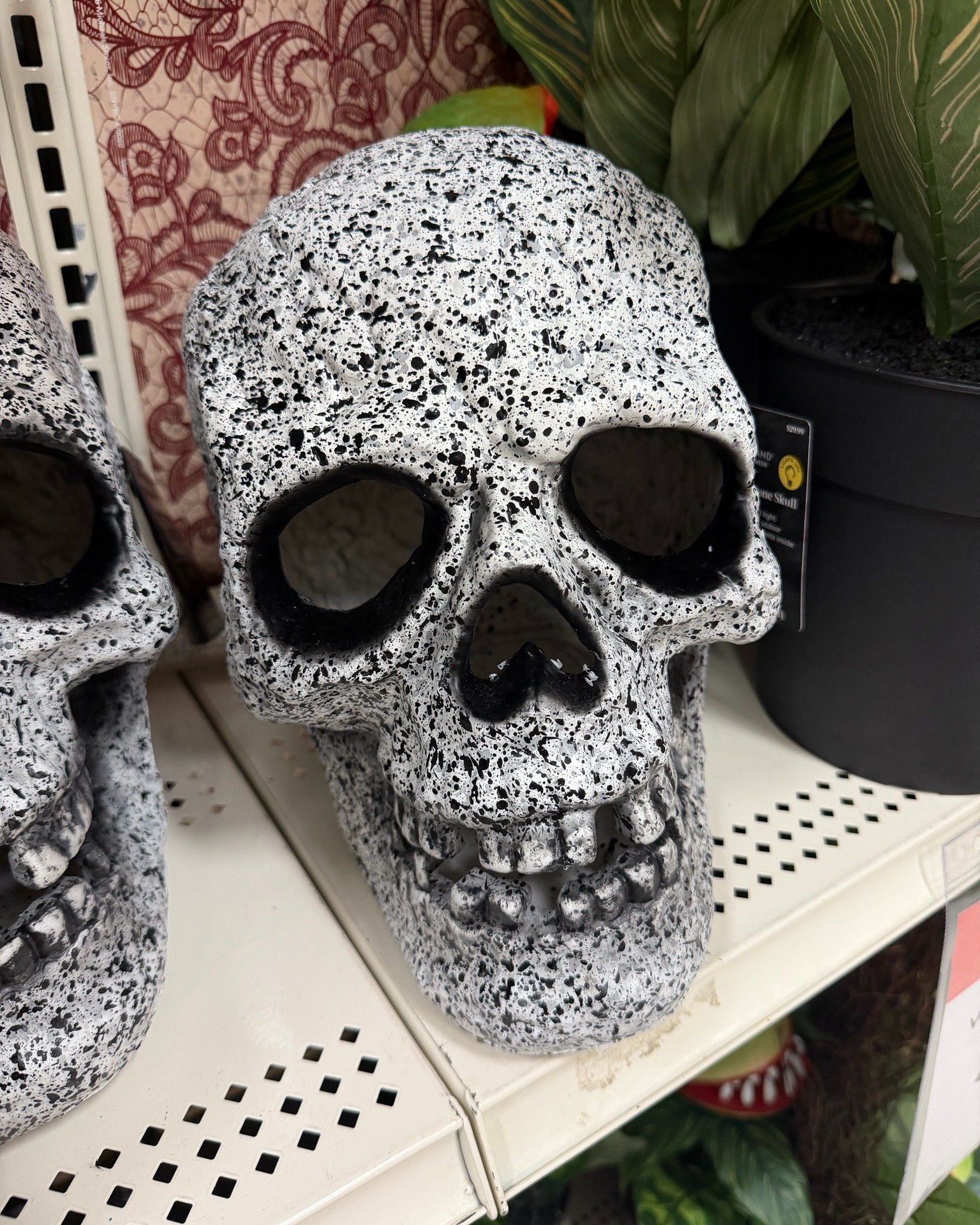 Halloween @ Michael’s

#LTKHome #LTKSeasonal