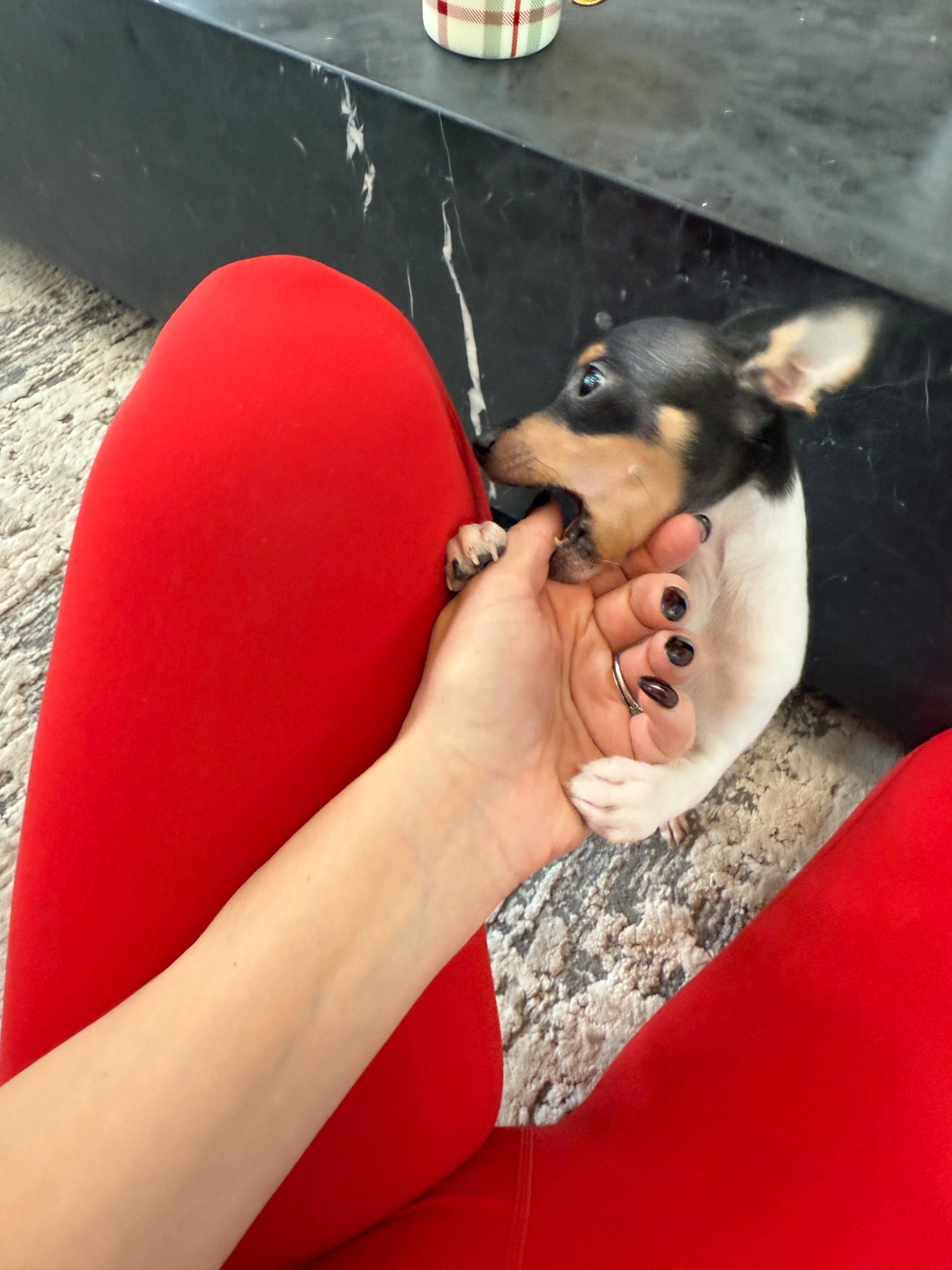 These might be my new favorite leggings! The red?! So cute. I have the matching sports bra too.

#LTKfitnessgoals #LTKootd #LTKActive