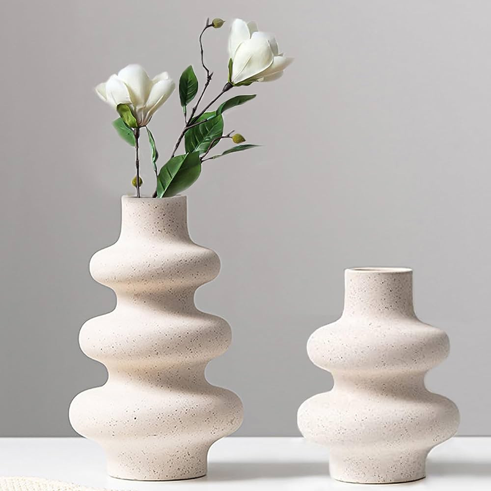 Steviieden Ceramic Vases Set 2, Modern Home Decor,Off White Round Vases,Modern Dried Flower Vases... | Amazon (US)