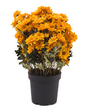 20in Uv Resistant Faux Zinnia In Plastic Pot Decor | Home | Marshalls | Marshalls