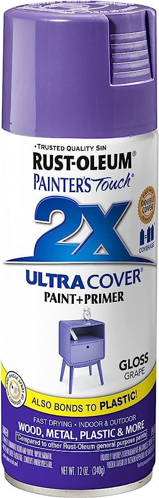 Rust-Oleum 249113 Painter's Touch 2X Ultra Cover, 12 Ounce (Pack of 1), Gloss Grape | Amazon (US)