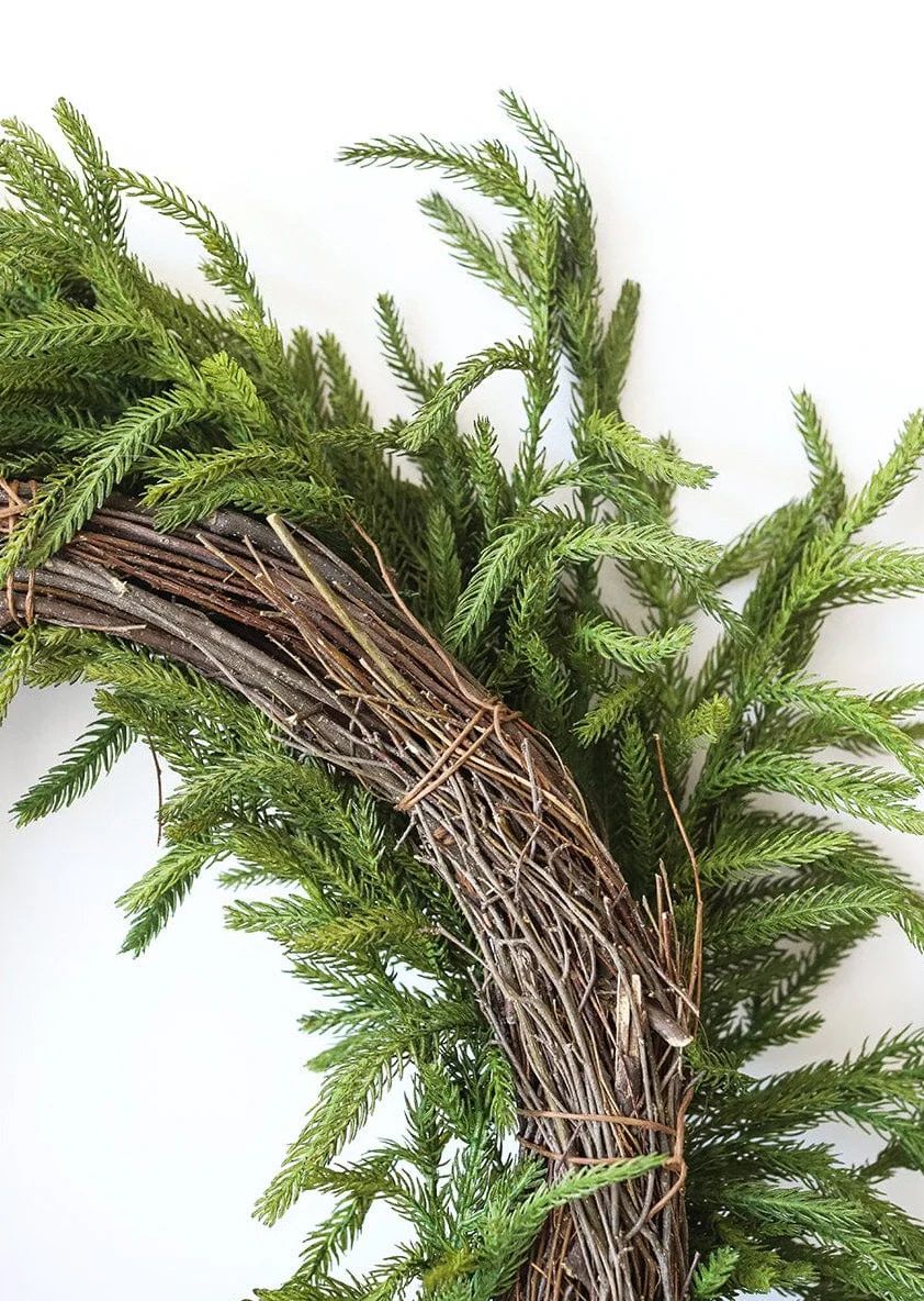 Afloral Real Touch Norfolk Pine Wreath - 24 | Afloral (US)