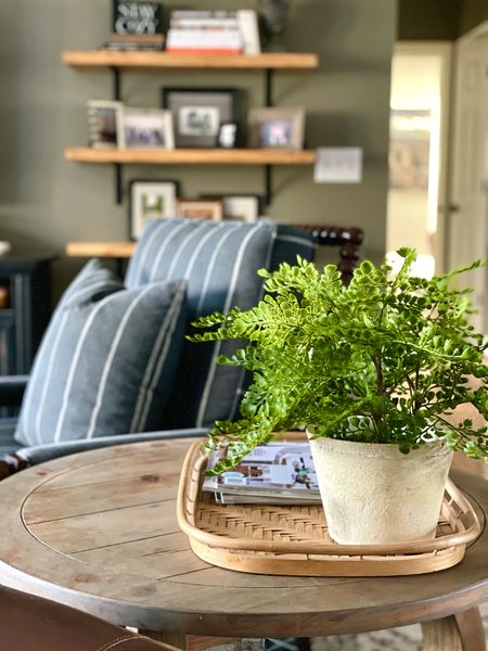 Living room decor

Follow @athomewiththebarkers on Instagram for daily decor, DIY and caring for home. 

Living room decor, artificial fern, home decorating, pippa chair dupe, Target, Wayfair, end table, side table, living room furniture

#LTKhome #LTKsalealert #LTKstyletip
