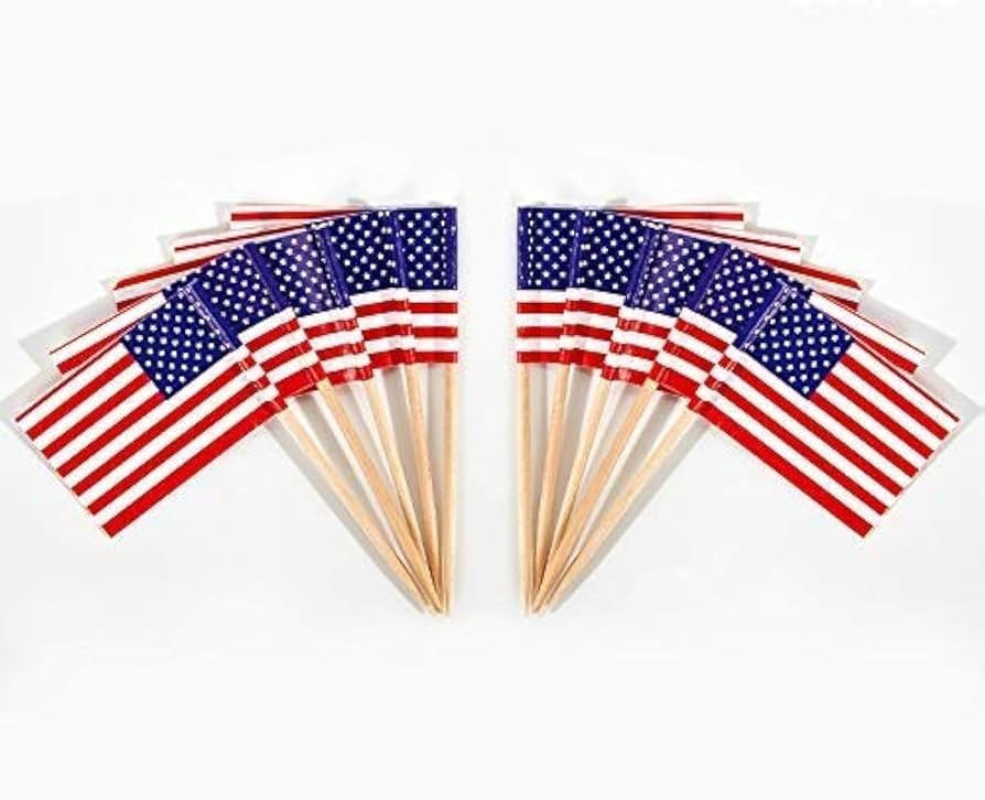 CYPS 100 Pcs USA American Flag US Toothpick Flags, Small Mini Stick Cupcake Toppers US Flags,4th ... | Amazon (US)