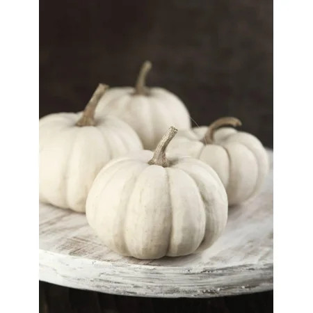 White Pumpkins on Wooden Board Print Wall Art By AnjelaGr | Walmart (US)