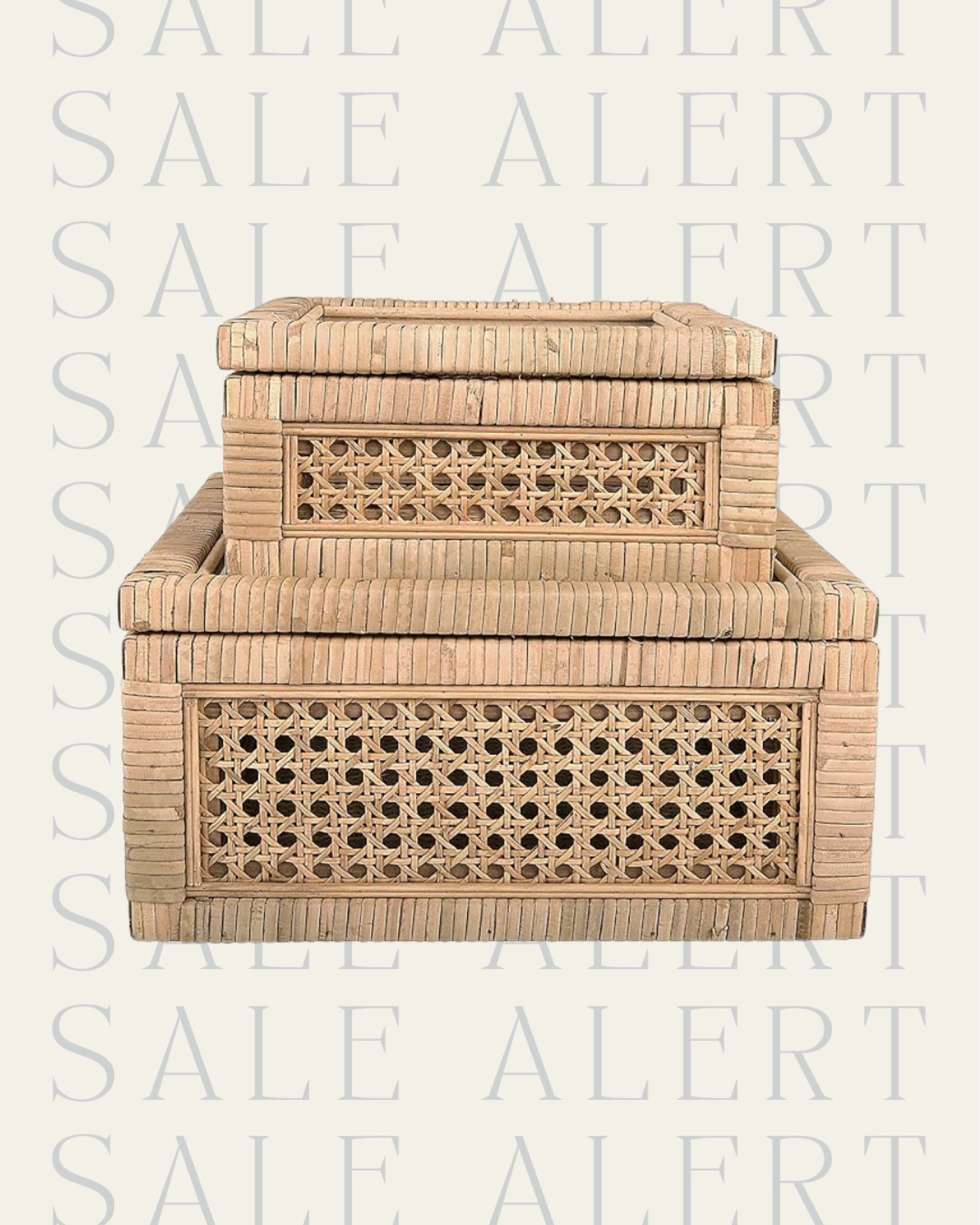 Sale alert 🖤 these pretty rattan boxes are 47% off with an extra coupon! Style on a bookcase or console table. 

Amazon sale, sale, sale find, sale alert, rattan box, woven box, decorative box, bookcase decor, decorative accessories, Living room, bedroom, guest room, dining room, entryway, seating area, family room, Modern home decor, traditional home decor, budget friendly home decor, Interior design, look for less, designer inspired, Amazon, Amazon home, Amazon must haves, Amazon finds, amazon favorites, Amazon home decor #amazon #amazonhome

#LTKfindsunder100 #LTKsalealert #LTKhome