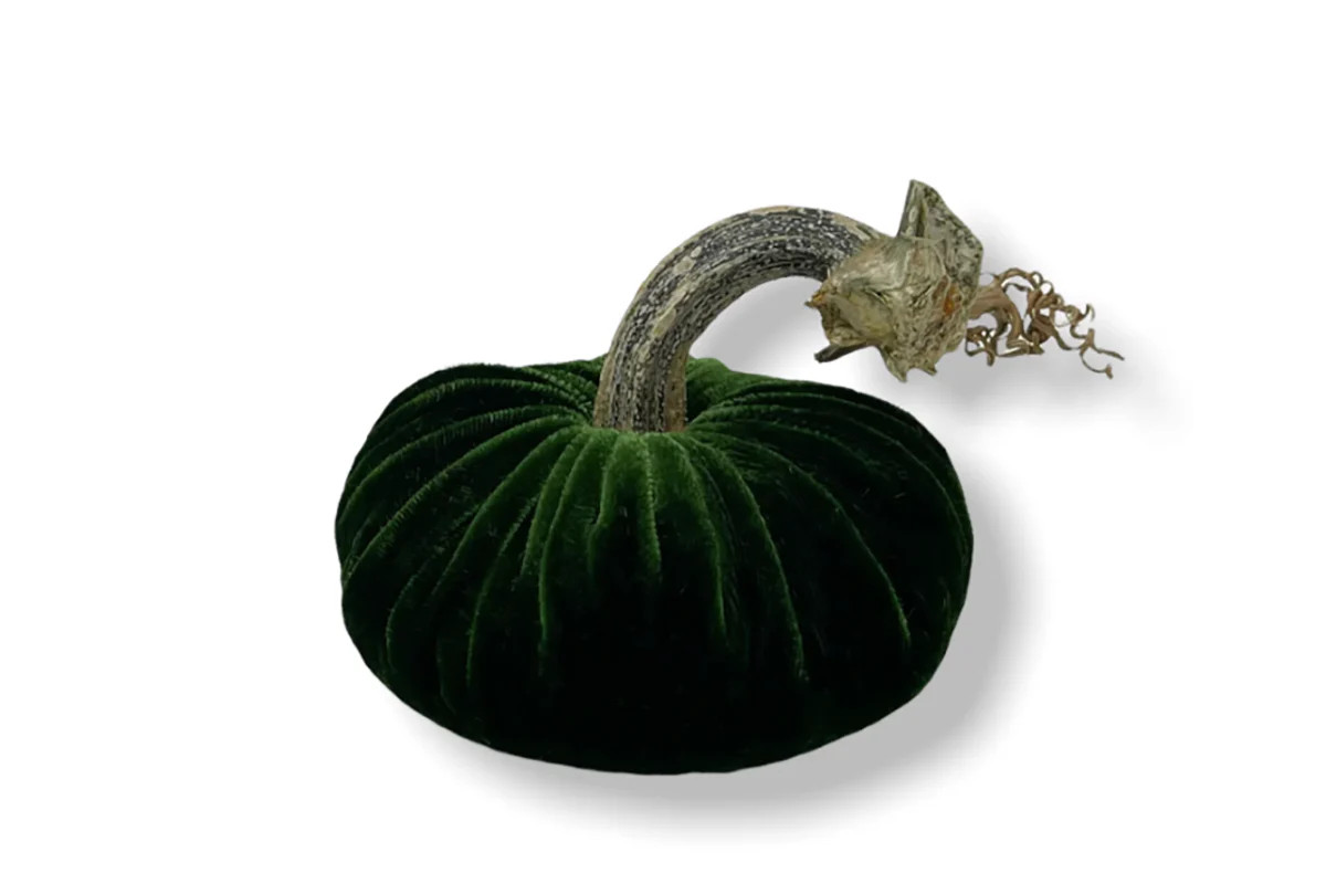 PP Emerald Velvet Pumpkin | Lucy's Market