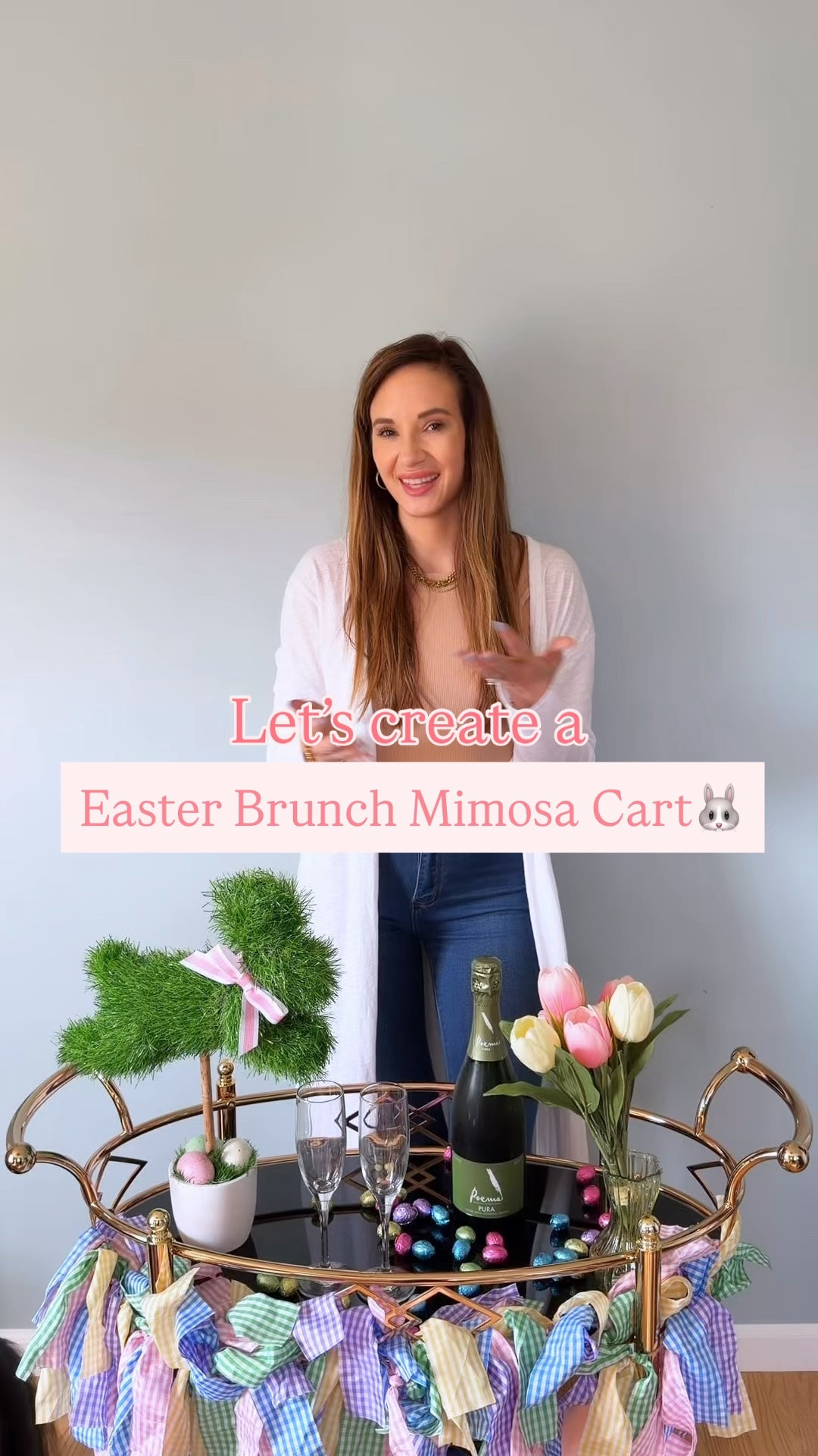 An Easter Brunch Mimosa Cart Idea 🐰

#LTKfoodie #LTKSeasonal #LTKHome