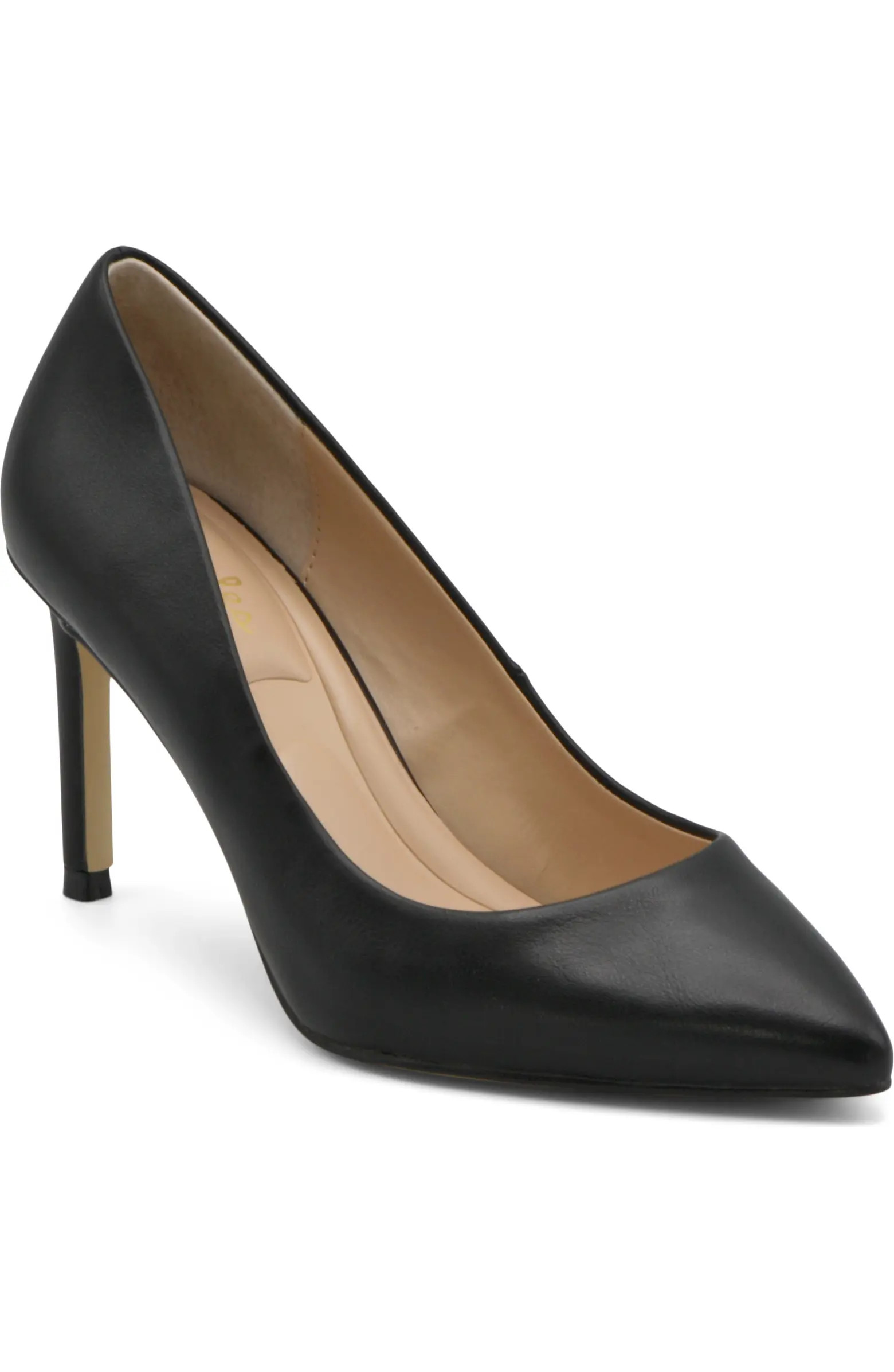Charles by Charles David Sublime Pointed Toe Pump (Women) | Nordstrom | Nordstrom