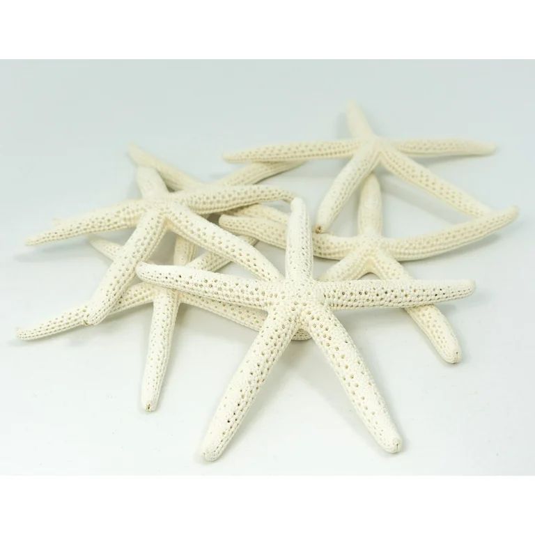 Starfish | 6 White Finger Starfish 3"-4" | Home Decor Art & Crafts - Walmart.com | Walmart (US)