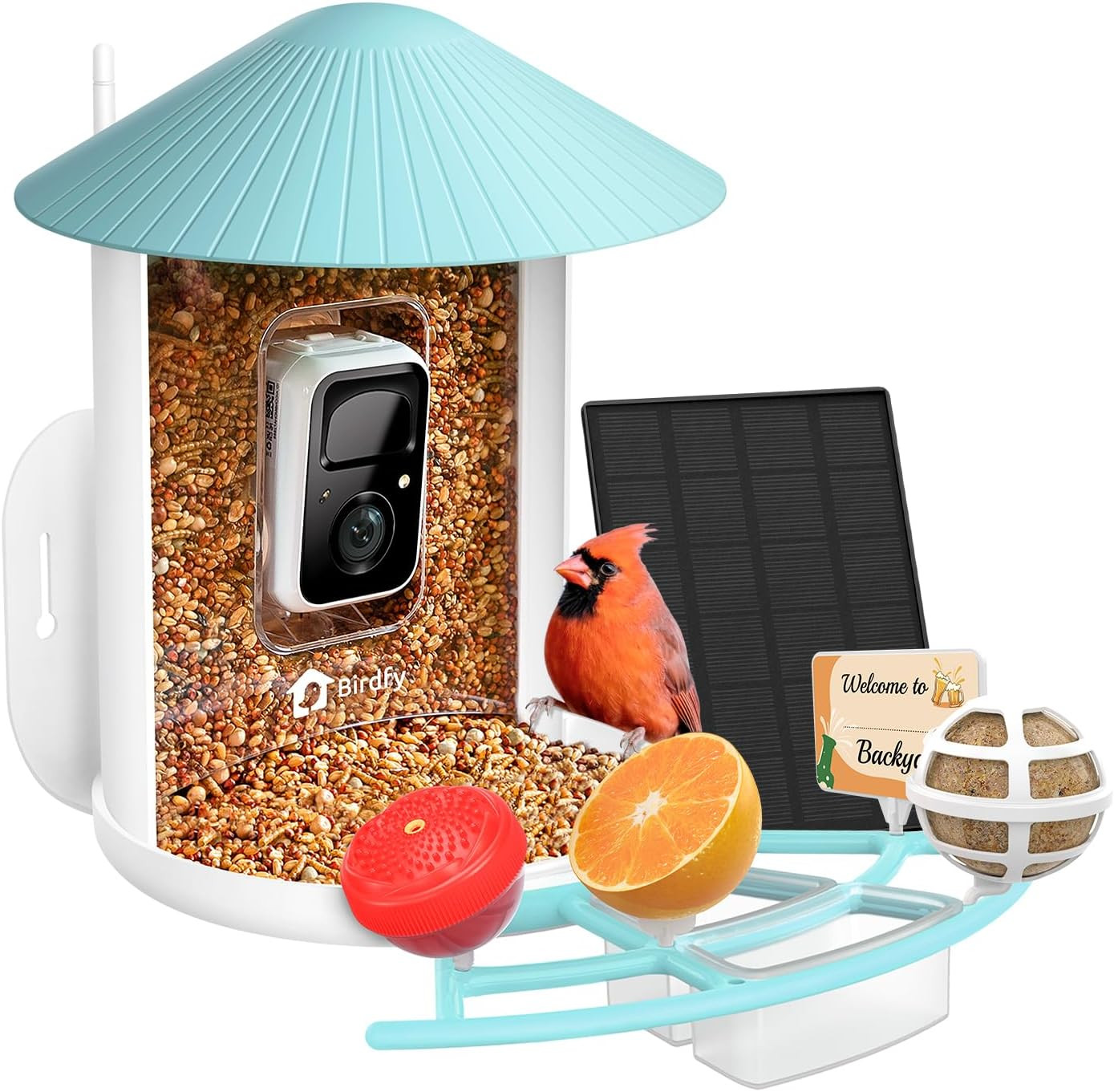 NETVUE Birdfy® Pro Bird Feeder with Camera, Wider Perch DIY Add-ons, Hummingbird Feeder, Suet Ball, Jelly Feeder, Auto Capture Bird Videos & Motion Detection, Ideal Present | Amazon (US)