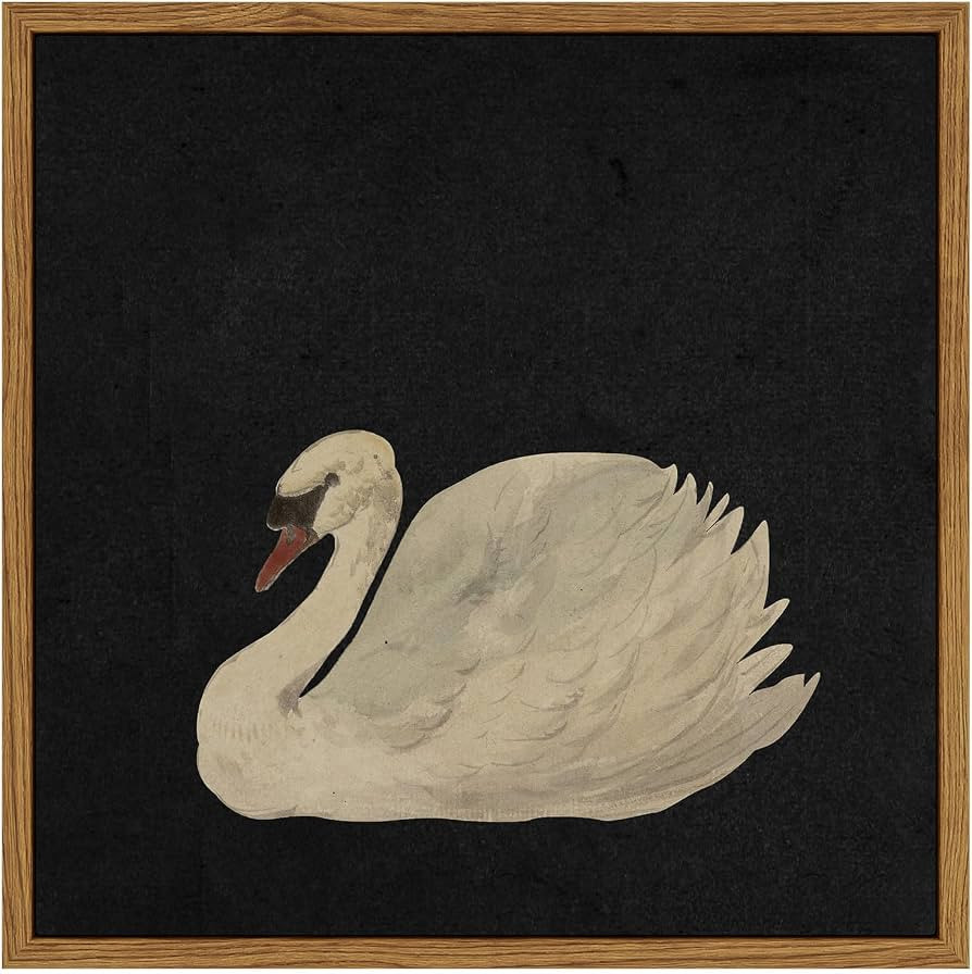 InSimSea Swan Art Framed Wall Decorations Canvas Wall Art, Grace Swan Painting Pictures Rustic Bathroom Wall Decor, Farmhouse Wall Decor for Living Room, Bedroom, Office Decor | Amazon (US)